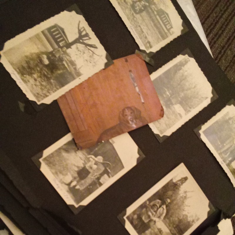 WW2 era scrapbook family and beautiful woman ~ photo lot