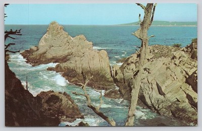 Pinnacle Point Lobos State Park Carmel California Vintage Photochrome Postcard