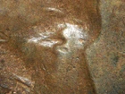HIGH GRADE MINT ERROR 1955-D LINCOLN WHEAT CENT DDO#2  VF
