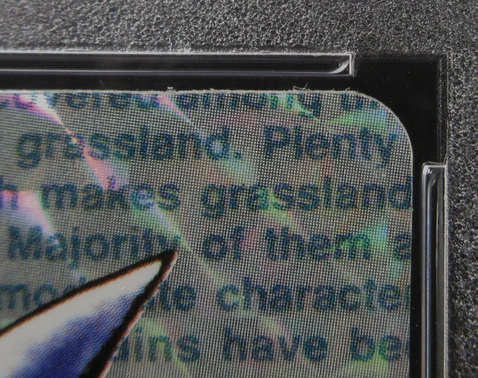 PSA 6 Pokemon Card Gengar No.094 Prism Japanese Bandai Carddass Vending Green - Image 3 of 4