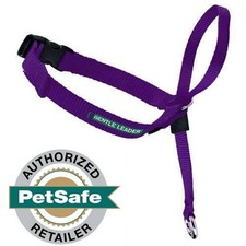 PetSafe Gentle Leader Head Collar for Dogs Deep Purple All Sizes