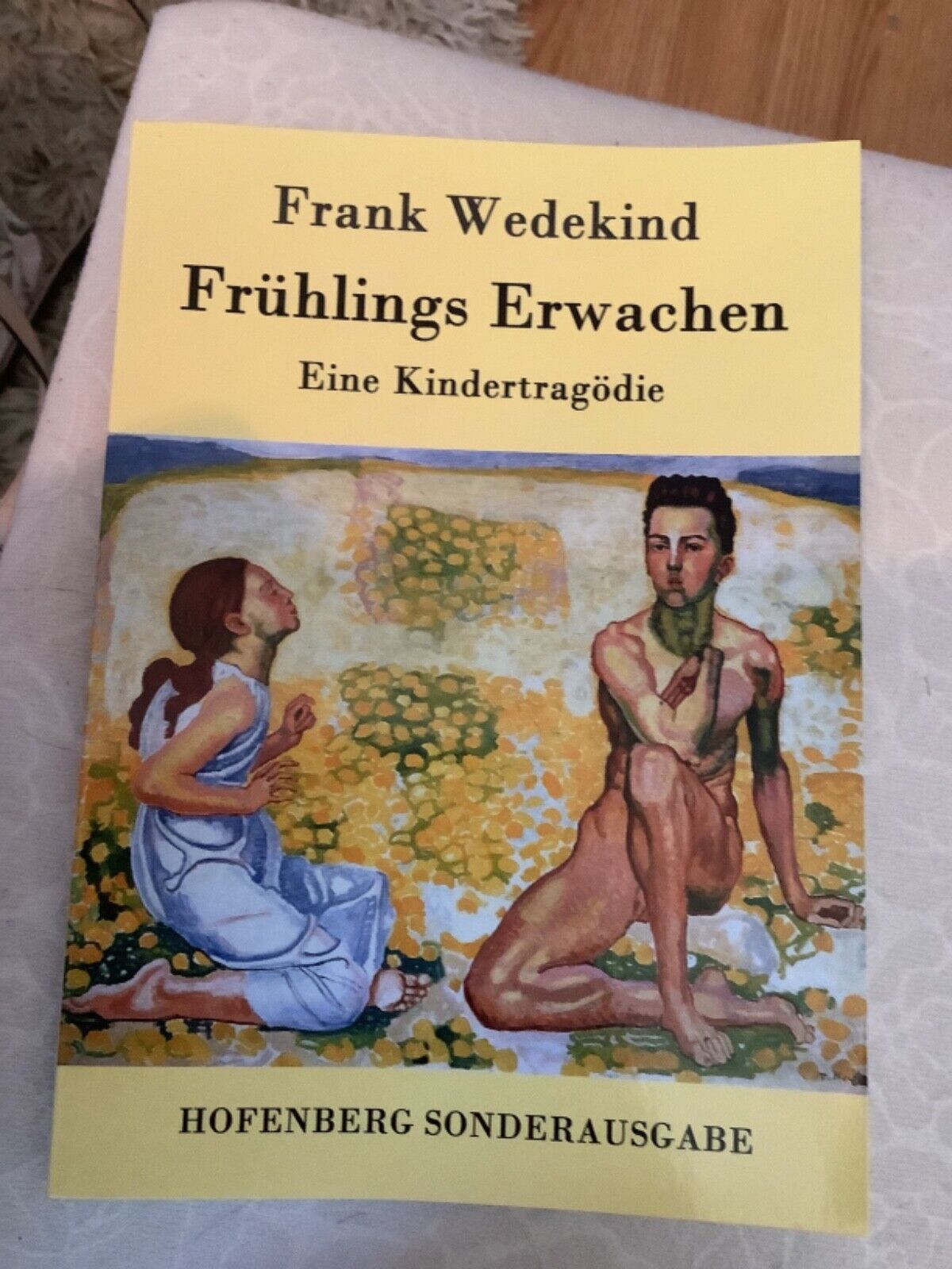 Frühlings Erwachen von Frank Wedekind (2016, Taschenbuch)