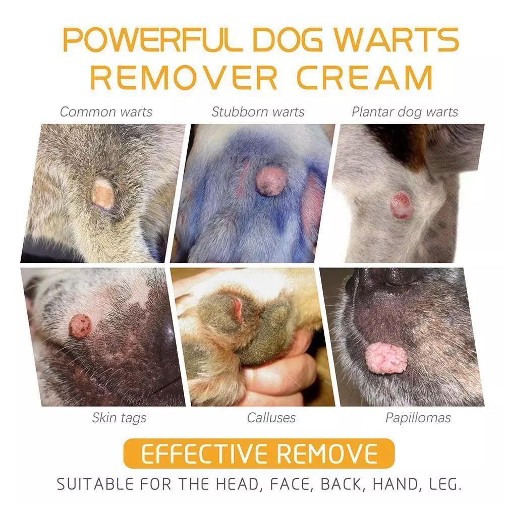 Dog wart on deals face