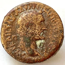 Roman Coin, Antoninus Pius 138 -161AD. Assarion 24mm 8gr XF RARE