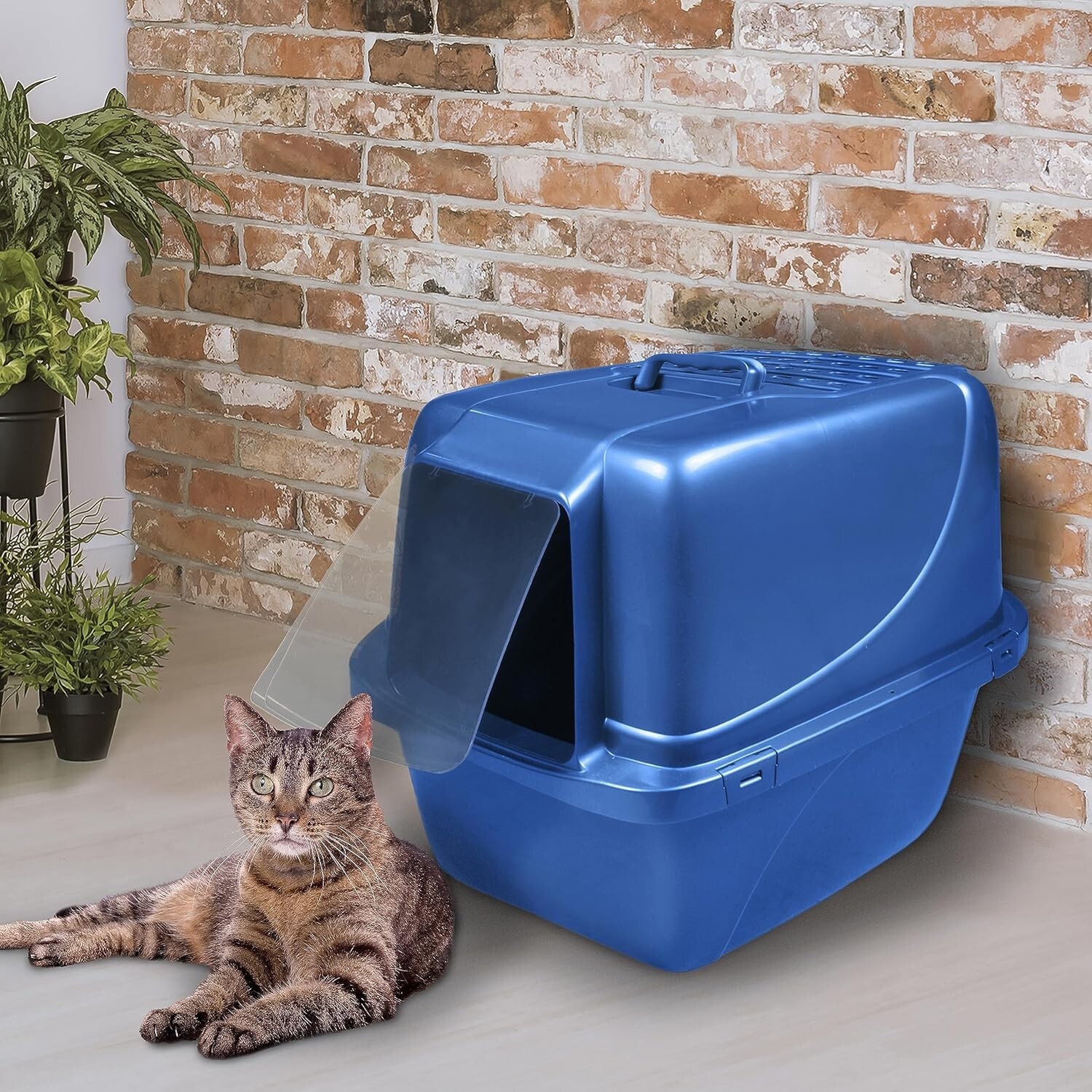 Van Ness Covered Cat Litter Box, ExtraGiant eBay