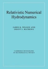 Relativistic Numerical Hydrodynamics, Paperback by Wilson, James R.; Mathews,...