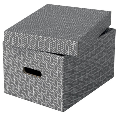 3 Aufbewahrungsboxen von Esselte - Varianten wählbar