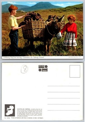 John Hinde Connemara Ireland Turf Collecting Donkey Postcard Co. Galway
