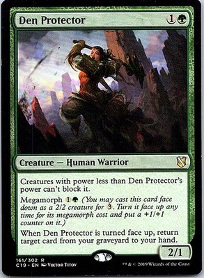 Den Protector R Commander 2019 161 NM