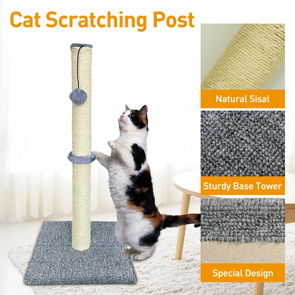 Hanging top scratching post