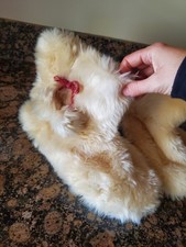Faux Fur Bootie Slippers