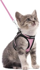 Cat Harness and Leash Set for Walking Escape Proof, Adjustable Soft Kittens Vest