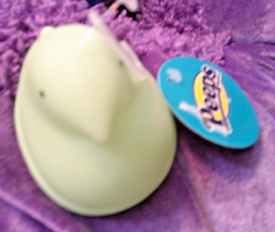 NWT Peeps Vinyl Dog Toy MINT GREEN 4 INCH CHICK