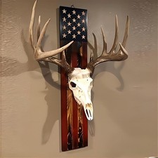 European Mount Skull Hanger, USA Flag Decor Hooker Pedestal, Deer Antler Moun...