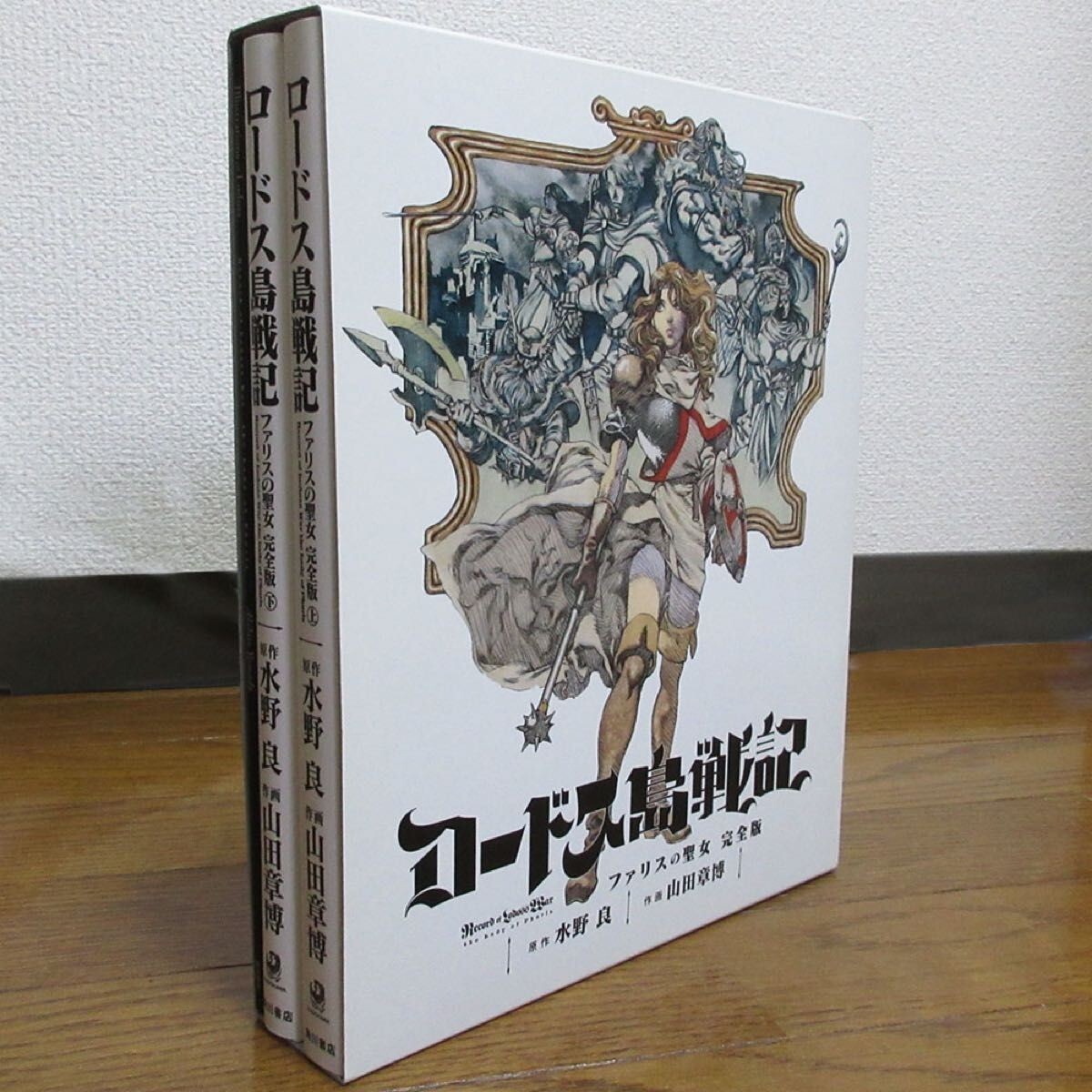 Record of Lodoss War The Lady of Pharis Akihiro Yamada
