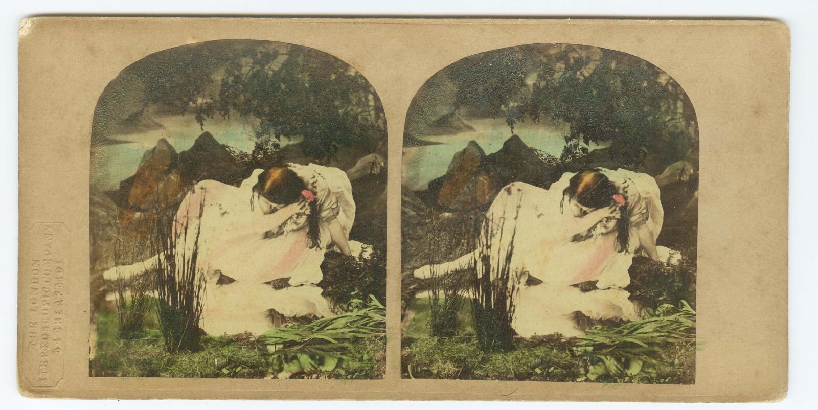 G1605~ TINTED GENRE – Fairy Scenes c.1860s London Stereoscopic UK Stereoview