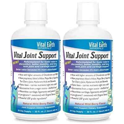 Vital Earth Joint Support Supplement with Fulvic Acid  32 Ounces ****2 PACK*****