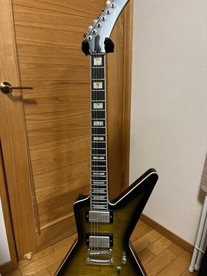 Epiphone Prophecy Extura Explorer
