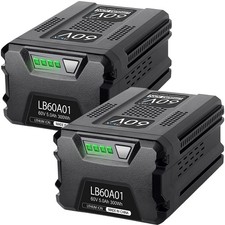 2X 60V 5.0Ah for Greenworks Pro 60V Max Li-Ion Battery LB60A00 LB60A02 LB60A03