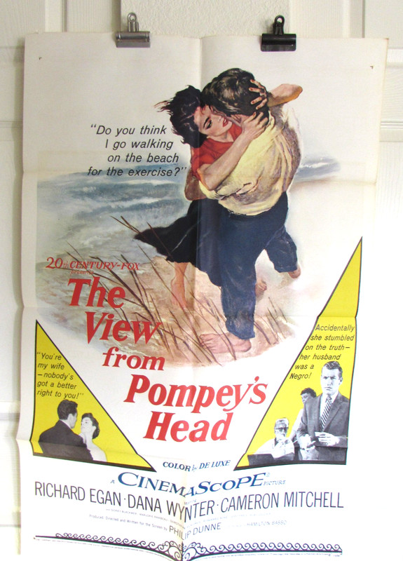 The View From Pompeys Head Poster - Dana Wynter