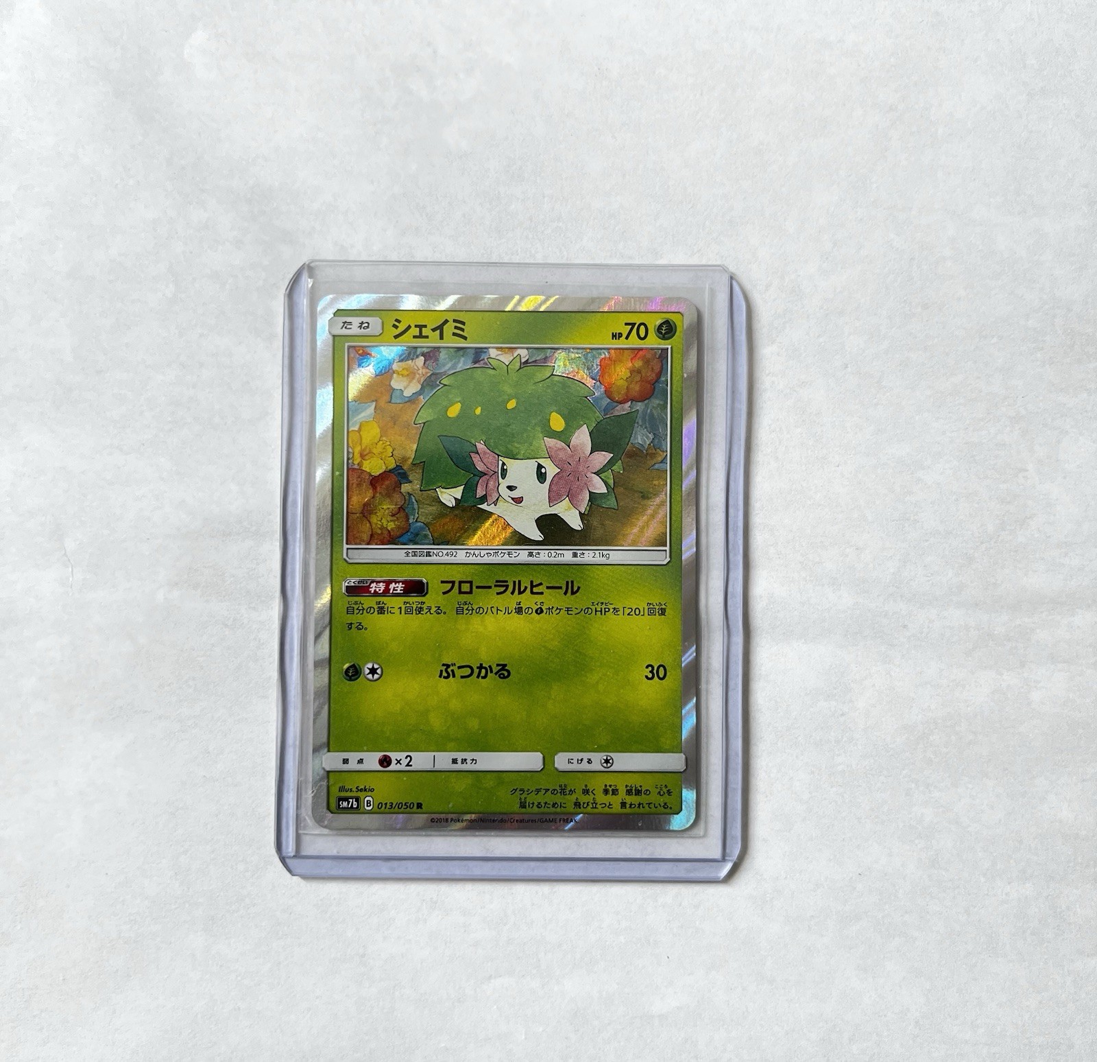 Shaymin Holo Rare - 013/050 R - Fairy Rise SM7b Pokemon Card TCG 2018 NM ✨