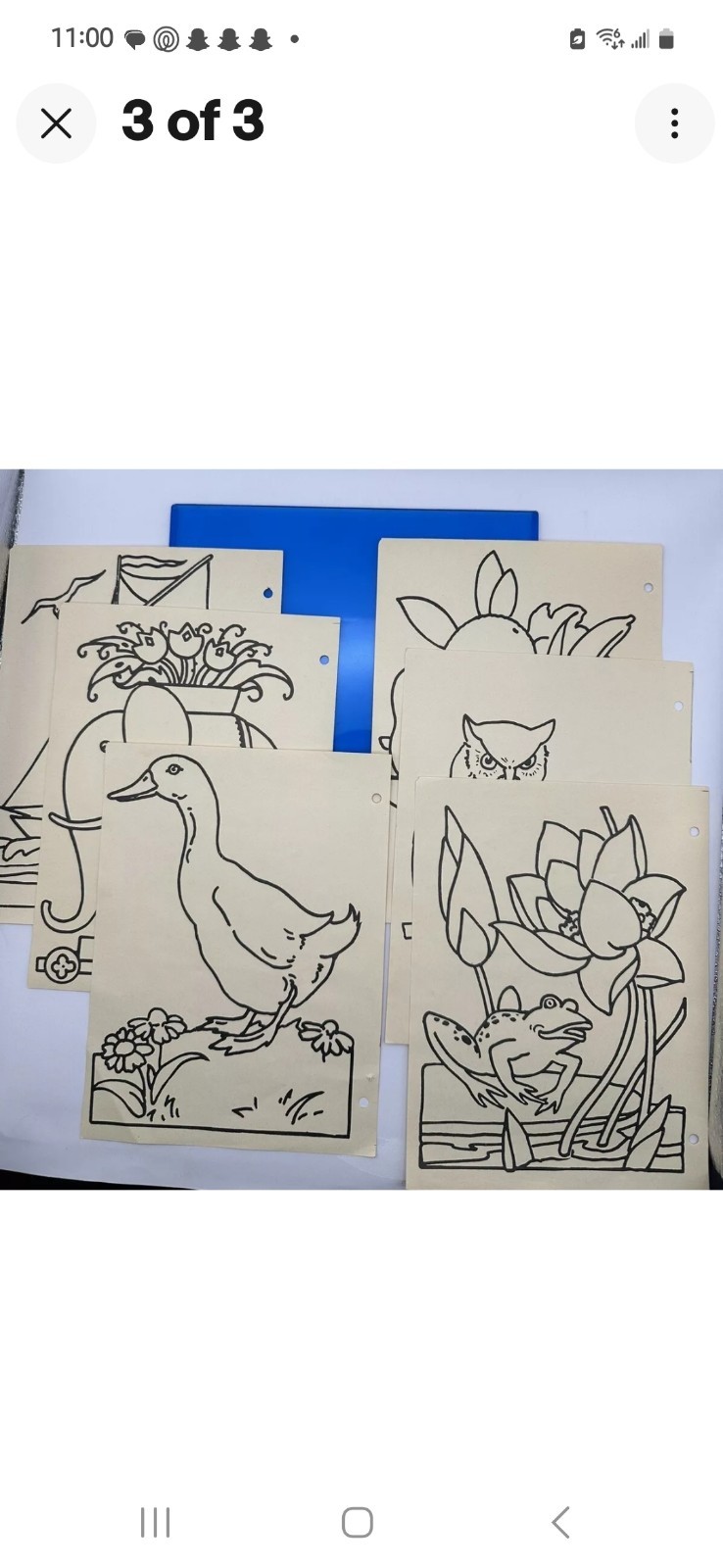 Foto 5 di 6