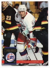 Vintage 1993-94 Donruss Hockey #388, Darrin Shannon - Winnipeg Jets