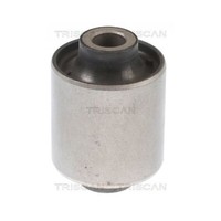 Lagerung, Lenker Triscan 8500 43856 FüR Hyundai Kia, Hinterachse, AußEn, Hinten