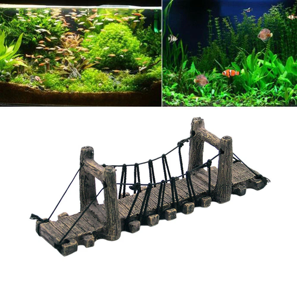 Tower top fish tank