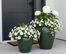 Pflanzkübel,Vase,Pflanzgefäß,jadegrün,frostfest!2 Größen wählbar,40 oder 50 cm