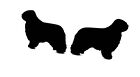 Polish Lowland Sheepdog Dog Cufflinks Mens Novelty Shirt Cufflinks In Black