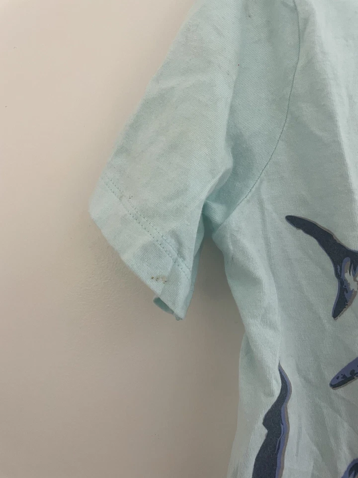 Camisa Carter's Niños Niños Impresionante Tiburón Gráfico 100% Algodón Manga Corta Aqua 7 Foto 3 de 4