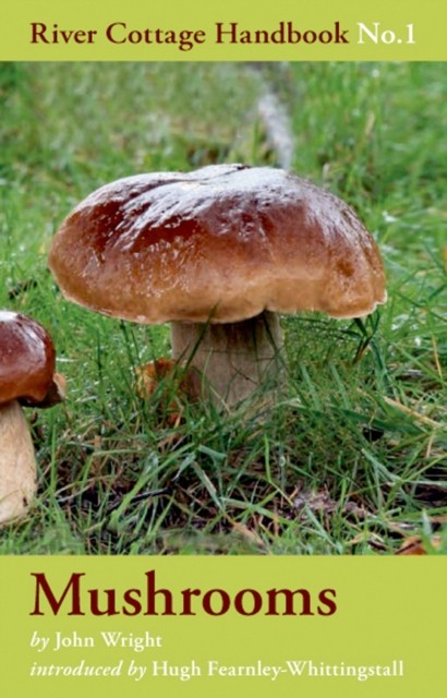 Mushrooms by John Wright (Hardback Book)