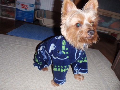 dog fleece velcro back