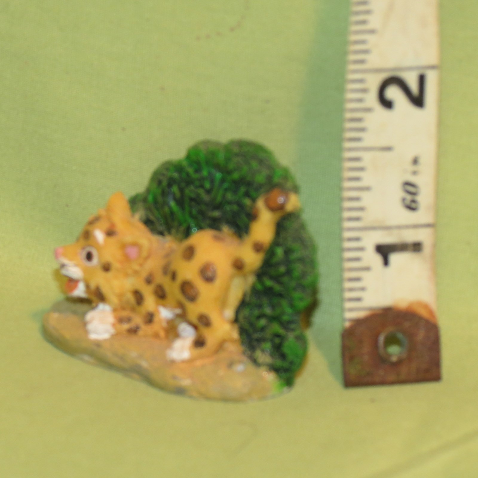 Picture 4 of 5