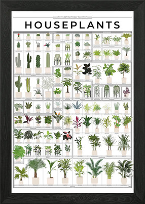 Gartenbau Zimmerpflanzen Gerahmtes Wandbild Poster Leinwanddruck Bild