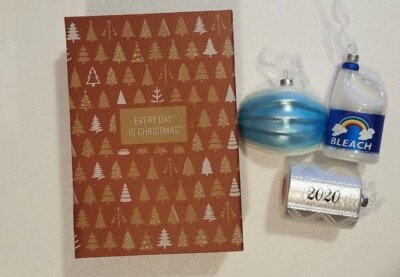Every Day is Christmas Glass Blown Ornaments 2020 Mask Bleach Toilet Paper *NEW