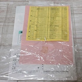 NEC PC Engine IFU-30 Interface Unit with Outer Box, Used