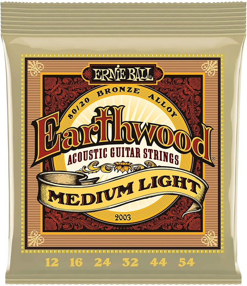 Ernie Ball 2003 jeu de cordes guitare acoustique Earthwood medium light folk