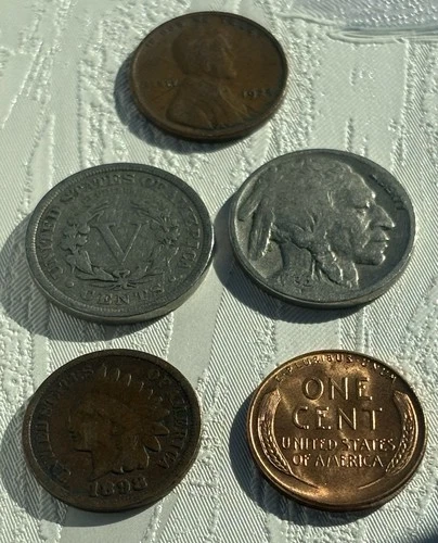 U.S. Coin Lot! Indian Head Cent Wheat Penny Liberty V & Buffalo Nickel. FREE S&H