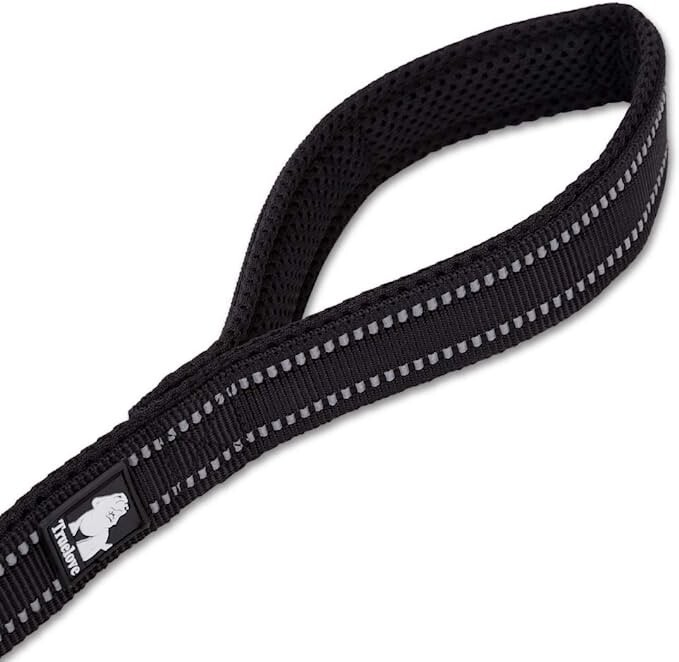 FREE SHIPPING TRUE LOVE Reflective Dog Leash eBay