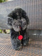 Pudel von Teddy Hermann