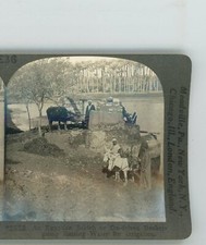 Egyptian Sakieh or Ox Driven Bucket Pump Egypt Keystone Stereoview