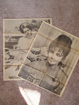 Lot of 2 SOPHIA LOREN LIZ TAYLOR Chicago's American Picture Poster Parade 24x30