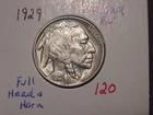 1929 BUFFALO NICKEL CHOICE + GEM BU ORIGINAL COLOR LUSTER PATINA FULL HEAD HORN