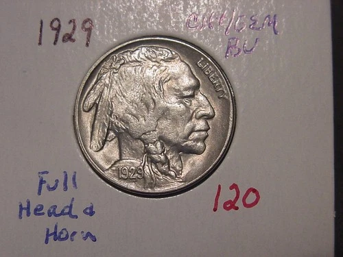 1929 BUFFALO NICKEL CHOICE + GEM BU ORIGINAL COLOR LUSTER PATINA FULL HEAD HORN