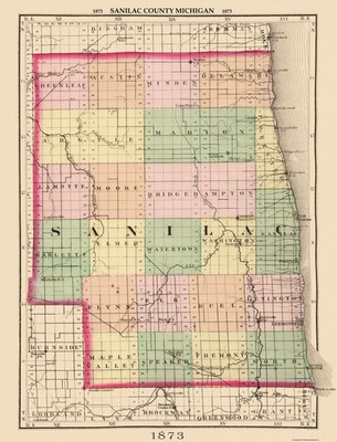 Historic County Map - Sanilac County Michigan - Walling 1873 - Vintage Wall Art