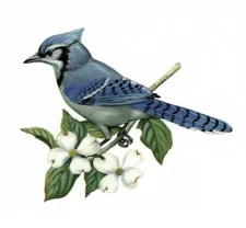 Blue Jay Bluejay Bird Select-A-Size Ceramic Waterslide Decals