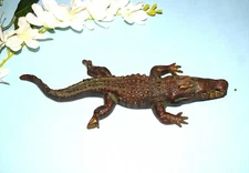 10.2'' Inches Brass Crocodile Statue Water Hunt Animal Shape Paperweight EK573 