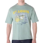 New Era MLB St. Louis Cardinals Fruit T-Shirt Pastel Green Baseball